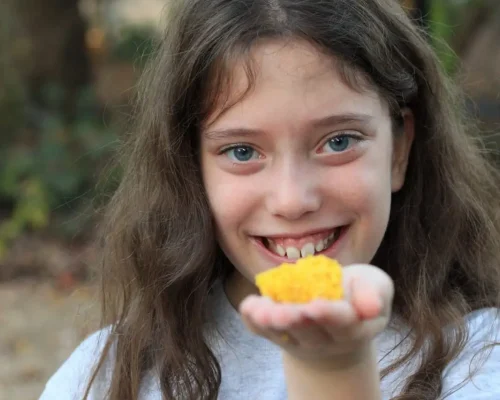 WhatsApp Image 2023-10-27 at 17.36.50 (1)